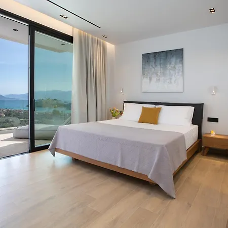 Apartment Pothos - Afroditi Collection *