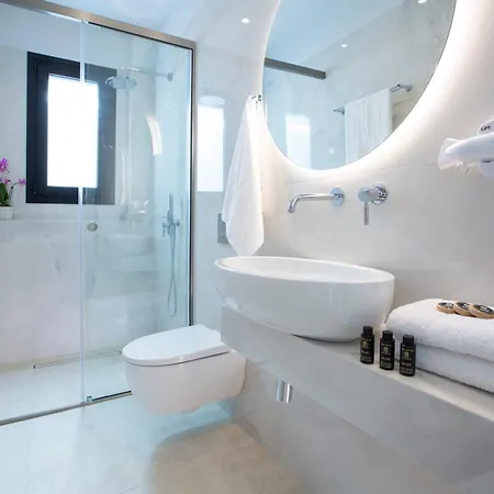 Apartment Pothos - Afroditi Collection *