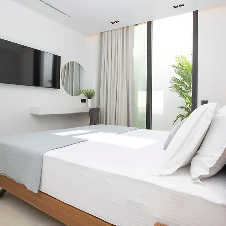 Pothos - Afroditi Collection