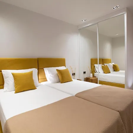 Apartment Pothos - Afroditi Collection *